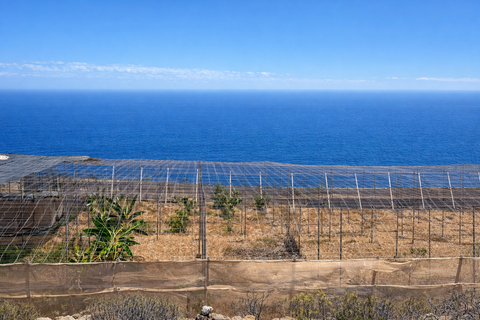 Lejlighed i Fasnia, Tenerife - foto 2